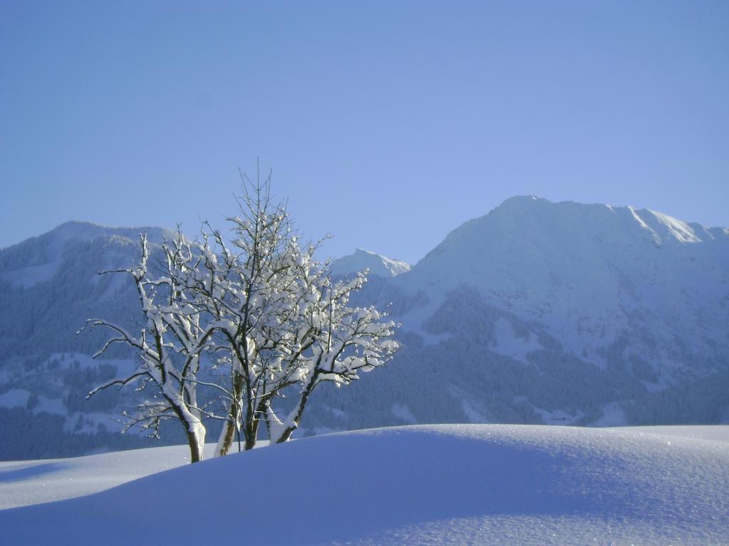 Landhaus Berktold Obermaiselstein Kültér fotó