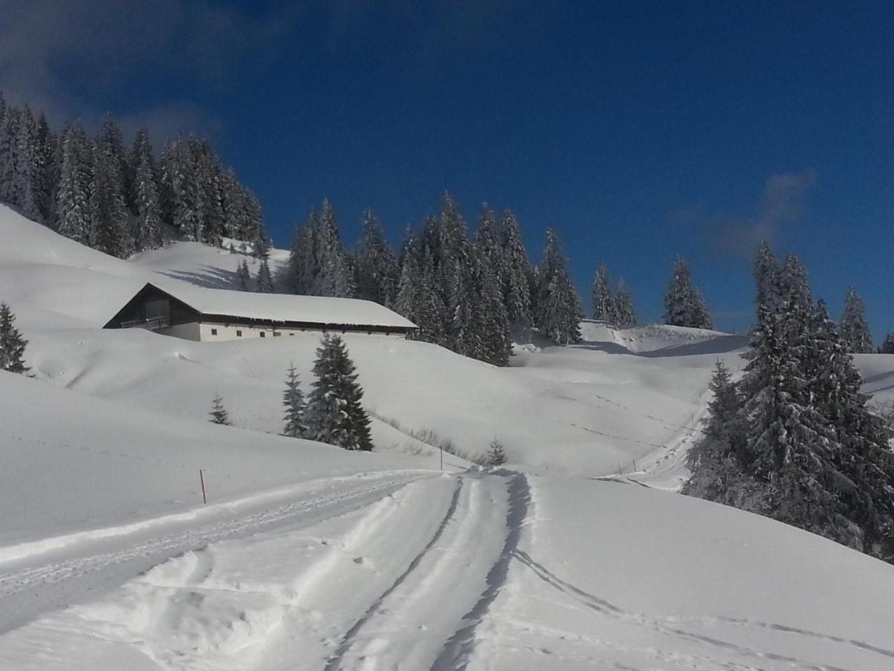 Landhaus Berktold Obermaiselstein Kültér fotó